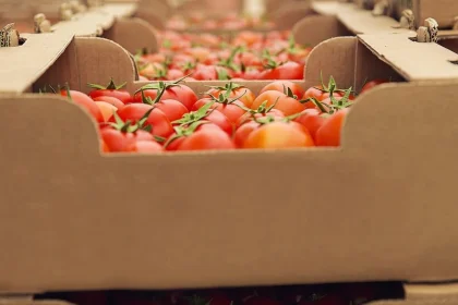 el-gobierno-facilita-la-importacion-de-alimentos-y-avanza-con-la-desregulacion-alimentaria