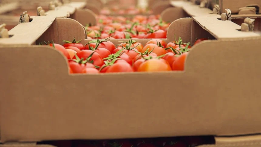 el-gobierno-facilita-la-importacion-de-alimentos-y-avanza-con-la-desregulacion-alimentaria