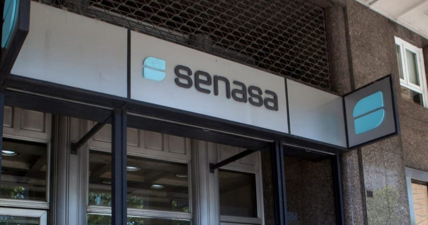 el-gobierno-elimino-el-instituto-nacional-de-alimentos-y-traspaso-sus-funciones-al-senasa