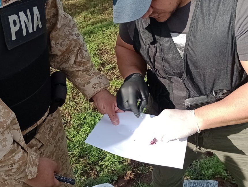 prefectura-incauto-mas-de-236-kilos-de-droga-y-detuvo-a-dos-personas-en-san-javier