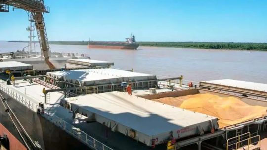 la-liquidacion-de-dolares-del-campo-cayo-16%-en-los-primeros-siete-meses-de-2026