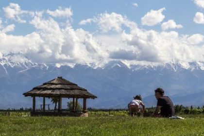 que-revela-el-mapa-de-la-extranjerizacion-de-la-tierra-y-cuales-son-las-zonas-estrategicas-mas-afectadas