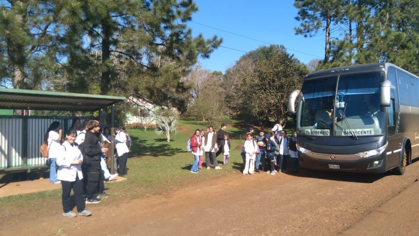 expreso-prox-reafirma-su-compromiso-con-el-transporte-de-estudiantes-y-recuerda-que-continuan-abiertas-las-inscripciones-al-boleto-estudiantil-misionero