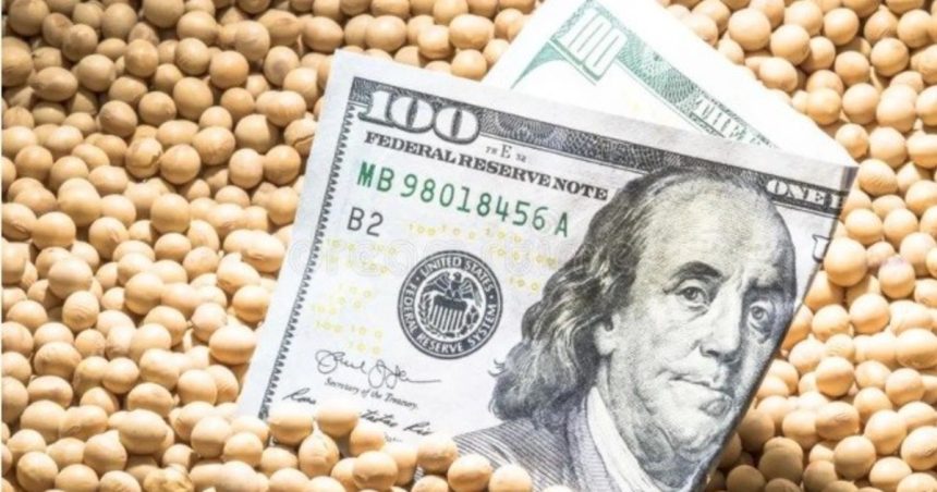 por-un-fuerte-crecimiento-en-la-declaracion-de-exportaciones,-la-recaudacion-por-retenciones-salto-un-35%-en-julio
