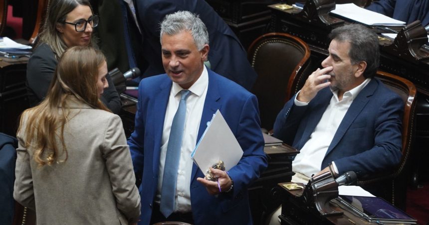 ante-versiones-de-un-proyecto-para-aumentar-la-cantidad-de-legisladores,-la-libertad-avanza-quiere-eliminar-el-senado-bonaerense