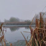 denuncian-que-la-provincia-recorto-un-30%-la-reserva-natural-laguna-de-rocha-con-un-articulo-oculto-en-la-ley-de-presupuesto