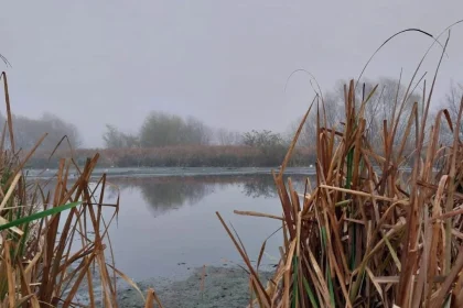 denuncian-que-la-provincia-recorto-un-30%-la-reserva-natural-laguna-de-rocha-con-un-articulo-oculto-en-la-ley-de-presupuesto