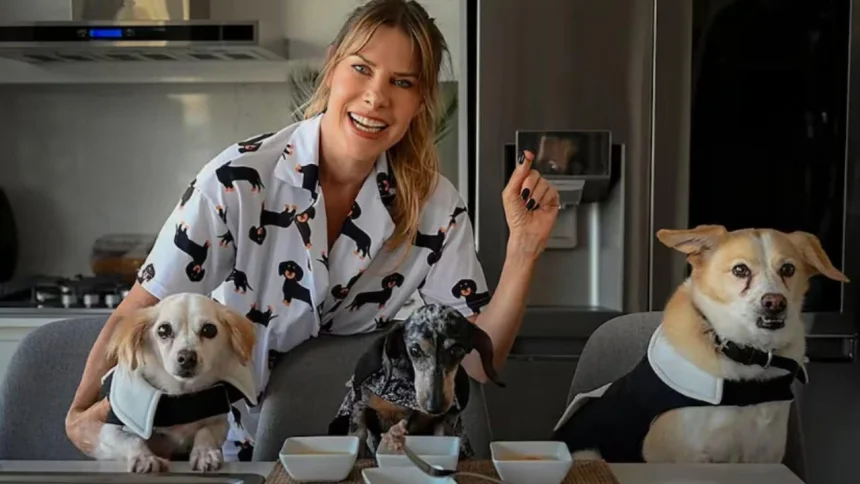 como-es-el-polemico-proyecto-de-karen-reichardt-para-regular-criaderos-de-perros-y-gatos