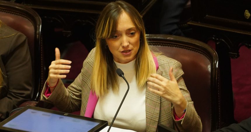 una-senadora-de-la-campora-pide-votar-por-zoom-la-ley-de-tierras-y-villarruel-define-un-voto-que-puede-ser-clave