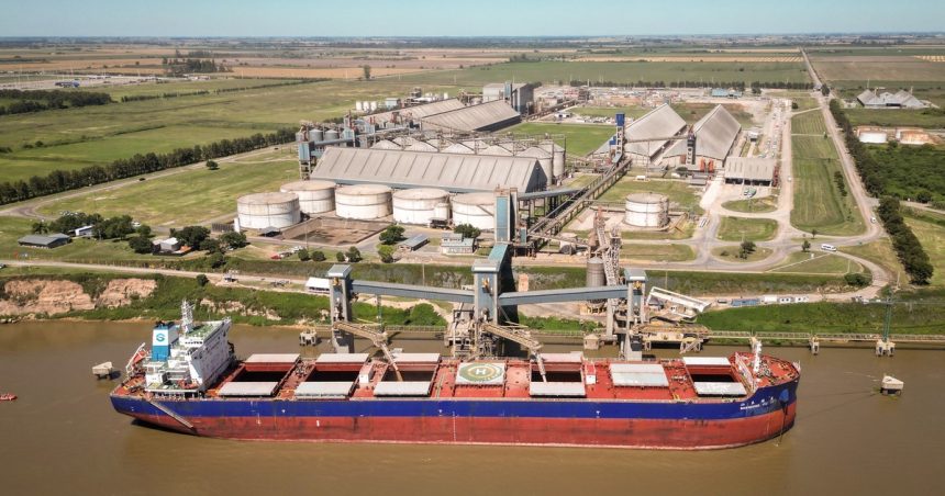 hasta-100.000-dolares-por-barco:-el-paro-de-practicos-ya-genera-perdidas-millonarias