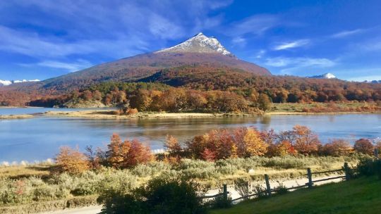 gol-conectara-ushuaia-y-el-calafate-con-san-pablo-sin-pasar-por-buenos-aires