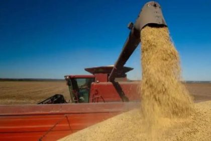 pymes-agropecuarias:-advierten-que-el-alto-costo-laboral-y-la-falta-de-gestion-afectan-la-competitividad-del-sector