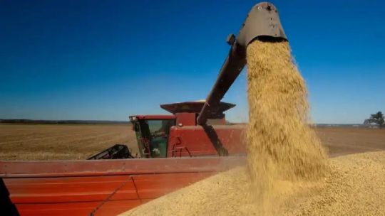 pymes-agropecuarias:-advierten-que-el-alto-costo-laboral-y-la-falta-de-gestion-afectan-la-competitividad-del-sector