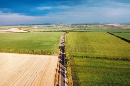 actualidad-del-mercado-inmobiliario-rural:-“lo-que-es-campos-agricolas-estan-muy-demandados,-tambien-los-ganaderos”