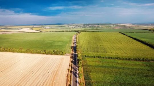 actualidad-del-mercado-inmobiliario-rural:-“lo-que-es-campos-agricolas-estan-muy-demandados,-tambien-los-ganaderos”