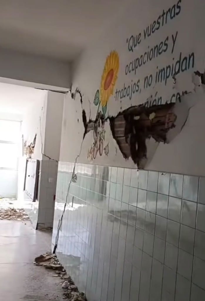deje-de-ser-la-profesora-que-era:-la-educacion-en-el-limbo,-otro-costo-del-doble-terremoto