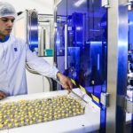 la-vacuna-argentina-arvac-podra-ser-exportada-a-otros-paises-de-region