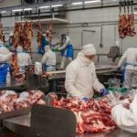 escala-salarial-en-la-industria-de-la-carne:-cuales-son-los-montos-hora-y-mensuales-vigentes-para-agosto-de-2026