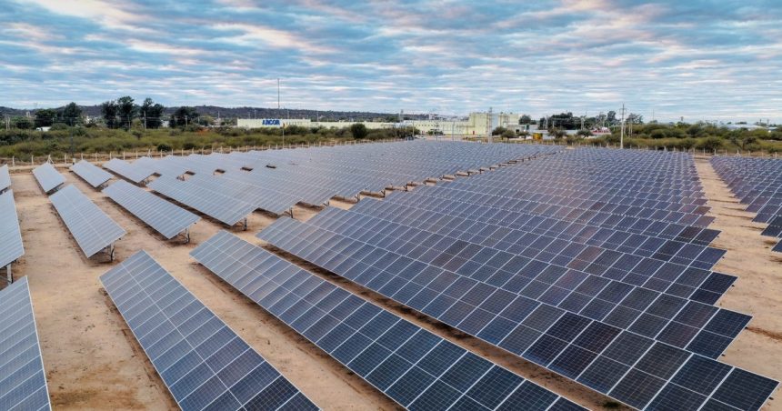 arcor-empieza-a-generar-su-propia-energia-renovable-para-bajar-costos-en-medio-del-consumo-debil