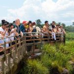 cataratas-del-iguazu:-fijan-un-cupo-maximo-de-8.000-visitantes-diarios
