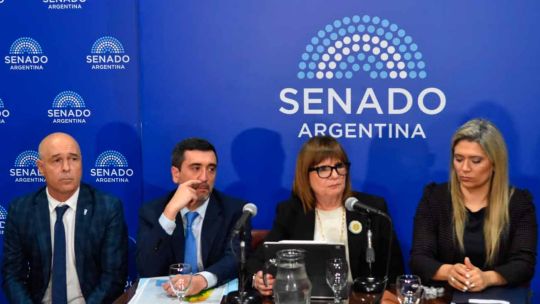ley-de-tierras:-ante-el-riesgo-de-derrota-en-el-senado,-el-gobierno-elimino-el-capitulo-mas-polemico-del-proyecto