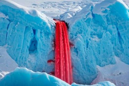 el-secreto-de-las-cataratas-de-sangre-de-la-antartida:-descubren-antiguas-criaturas-marinas-atrapadas-bajo-el-hielo