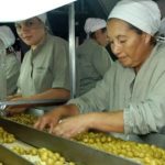 fuerte-crecimiento-de-la-olivicultura:-“la-gran-traccion-viene-desde-el-lado-de-la-demanda-y-de-los-consumidores”