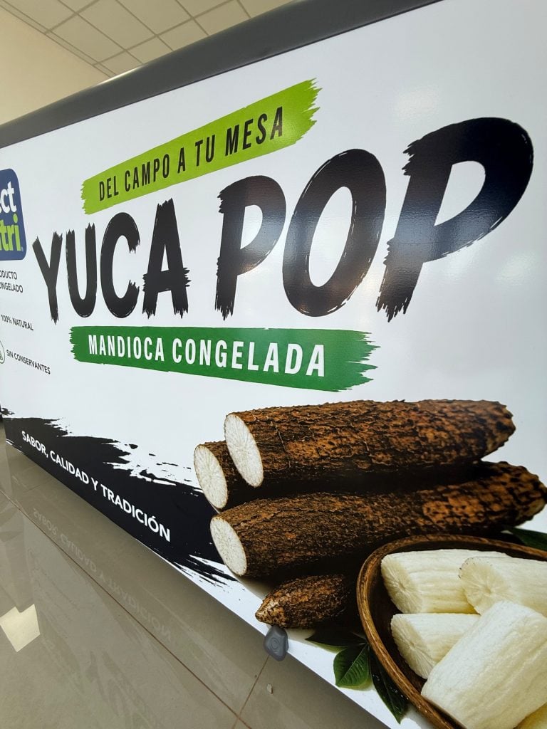 select-nutri-ya-opera-en-colonia-aurora-y-proyecta-procesar-180-toneladas-de-mandioca-por-mes