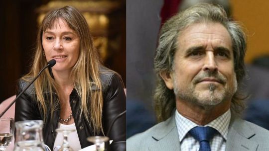 di-tullio-impugno-a-joaquin-benegas-lynch-por-un-presunto-conflicto-de-intereses-en-el-debate-de-la-ley-de-tierras