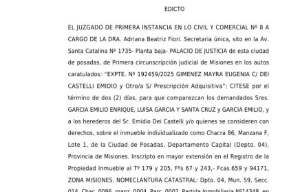 el-juzgado-de-primera-instancia-en-lo-civil-y-comercial-no-8-citese-a-los-demandados-sres-garcia-emilio-enrique,-luisa-garcia-y-santa-cruz-y-garcia-emilio,-y-a-los-herederos-del-sr.-emidio-dei-castelli-y/o-quienes-se-consideren-con-derechos