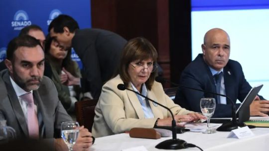 extranjerizacion-de-tierras:-la-concesion-de-lla-preocupa-al-gobierno-por-las-proximas-reformas-de-milei-en-el-congreso