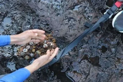 arrojar-monedas-en-las-cataratas-sigue-contaminando-el-rio-iguazu-pese-a-la-crecida-del-agua