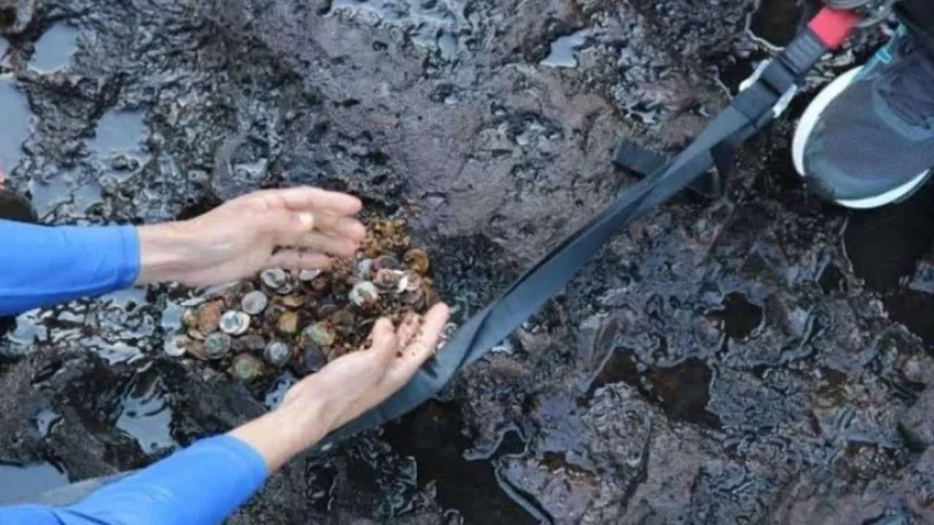 arrojar-monedas-en-las-cataratas-sigue-contaminando-el-rio-iguazu-pese-a-la-crecida-del-agua
