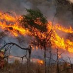 mapa-de-los-focos-de-incendio-en-argentina:-“lo-que-se-prende-fuego-son-especialmente-los-humedales”