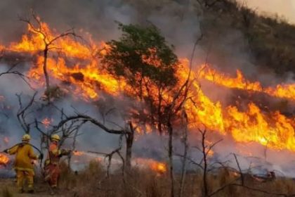 mapa-de-los-focos-de-incendio-en-argentina:-“lo-que-se-prende-fuego-son-especialmente-los-humedales”