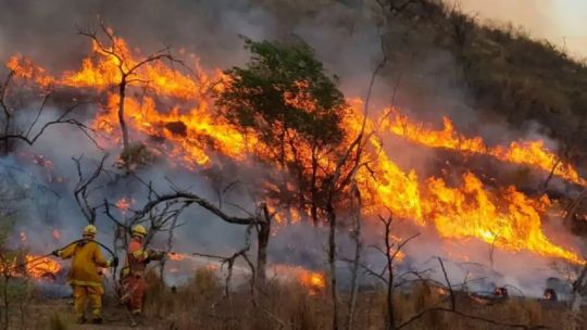 mapa-de-los-focos-de-incendio-en-argentina:-“lo-que-se-prende-fuego-son-especialmente-los-humedales”