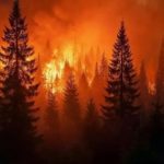 como-impacta-la-reforma-a-la-ley-del-manejo-del-fuego-a-productores,-comunidades-originarias-y-bosques-nativos