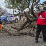 rafagas-de-hasta-95-km/h-en-cordoba:-defensa-civil-recibio-950-llamados-por-la-tormenta-de-viento