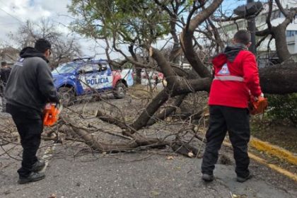 rafagas-de-hasta-95-km/h-en-cordoba:-defensa-civil-recibio-950-llamados-por-la-tormenta-de-viento