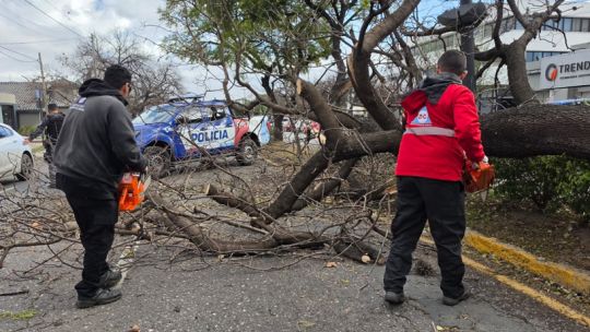 rafagas-de-hasta-95-km/h-en-cordoba:-defensa-civil-recibio-950-llamados-por-la-tormenta-de-viento