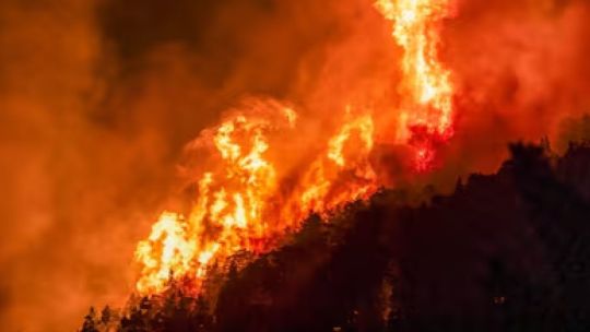 incendios-en-estados-unidos:-el-inesperado-problema-que-dificulta-el-trabajo-de-los-bomberos