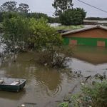 el-nino-en-america-latina:-cientificos-pronostican-sequias-historicas,-lluvias-extremas-y-graves-impacto-economicos