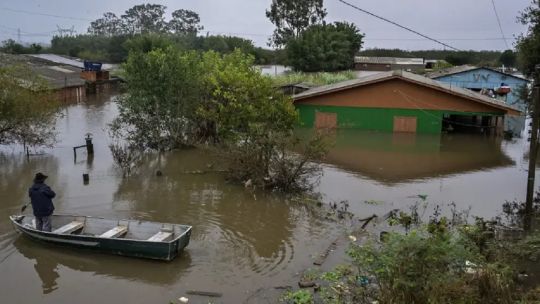 el-nino-en-america-latina:-cientificos-pronostican-sequias-historicas,-lluvias-extremas-y-graves-impacto-economicos