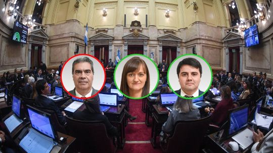 como-votaron-los-senadores-de-chaco-la-ley-de-inviolabilidad-de-la-propiedad-privada