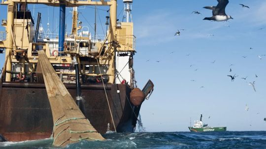 de-europa-al-asia-pacifico:-quienes-explotan-la-pesca-ilegal-en-malvinas-bajo-licencias-britanicas