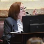 alejandra-vigo-afirmo-que-el-proyecto-de-propiedad-privada-termino-siendo-“un-verdadero-mamarracho”