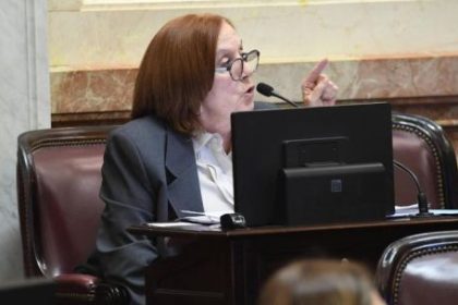 alejandra-vigo-afirmo-que-el-proyecto-de-propiedad-privada-termino-siendo-“un-verdadero-mamarracho”
