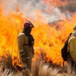 el-gobierno-tuvo-que-ceder-y-dejo-afuera-la-reforma-que-habilitaba-cambiar-el-uso-de-tierras-incendiadas
