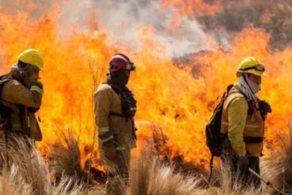 el-gobierno-tuvo-que-ceder-y-dejo-afuera-la-reforma-que-habilitaba-cambiar-el-uso-de-tierras-incendiadas