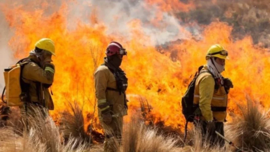 el-gobierno-tuvo-que-ceder-y-dejo-afuera-la-reforma-que-habilitaba-cambiar-el-uso-de-tierras-incendiadas